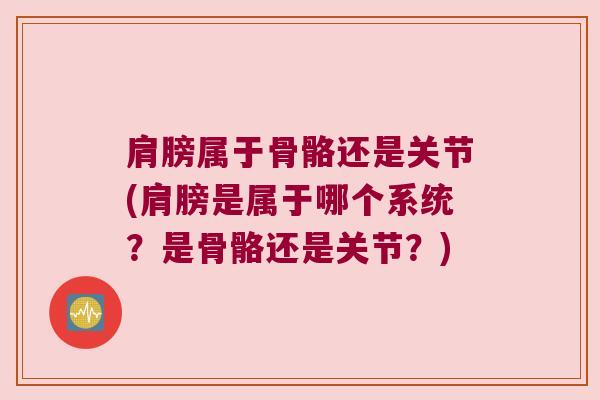 肩膀属于骨骼还是关节(肩膀是属于哪个系统?是骨骼还是关节?) 肩膀属于骨骼还是关节(肩膀是属于哪个系统?是骨骼还是关节?)