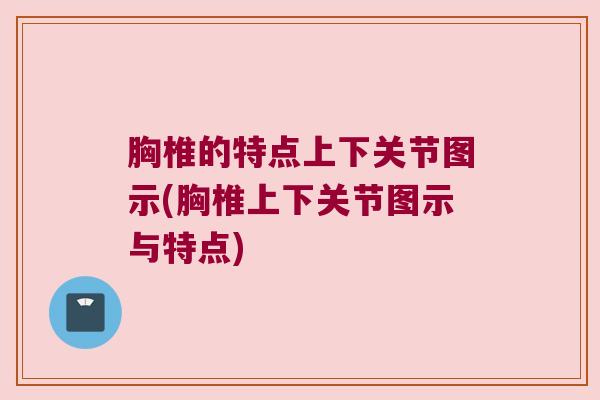 胸椎的特点上下关节图示(胸椎上下关节图示与特点)