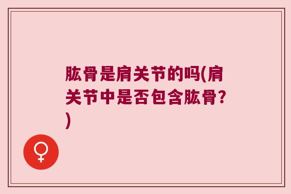 肱骨是肩关节的吗(肩关节中是否包含肱骨?) 肱骨是肩关节的吗(肩关节中是否包含肱骨?)