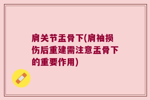 肩关节盂骨下(肩袖损伤后重建需注意盂骨下的重要作用)