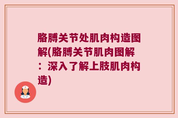 胳膊关节处肌肉构造图解(胳膊关节肌肉图解：深入了解上肢肌肉构造)