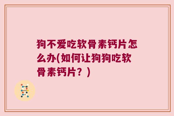 狗不爱吃软骨素钙片怎么办(如何让狗狗吃软骨素钙片?) 狗不爱吃软骨素钙片怎么办(如何让狗狗吃软骨素钙片?)