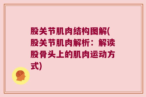 股关节肌肉结构图解(股关节肌肉解析：解读股骨头上的肌肉运动方式)