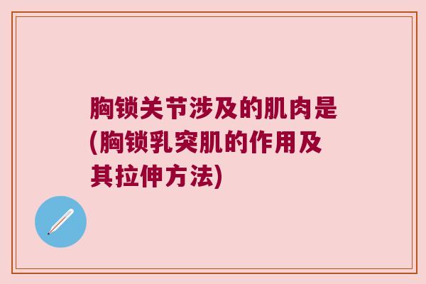 胸锁关节涉及的肌肉是(胸锁乳突肌的作用及其拉伸方法)