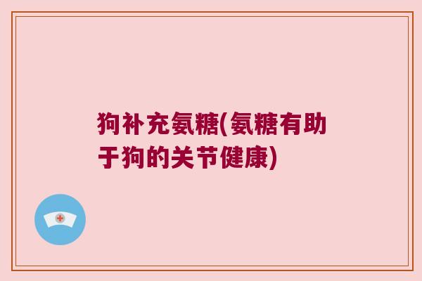 狗补充氨糖(氨糖有助于狗的关节健康)