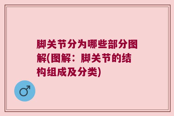 脚关节分为哪些部分图解(图解:脚关节的结构组成及分类) 脚关节分为哪些部分图解(图解:脚关节的结构组成及分类)