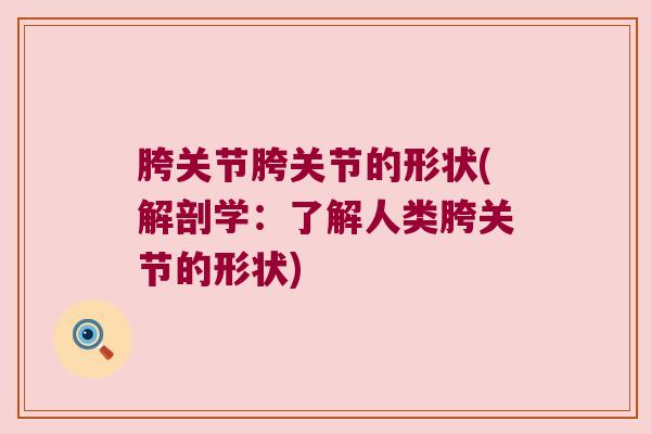 胯关节胯关节的形状(解剖学：了解人类胯关节的形状)