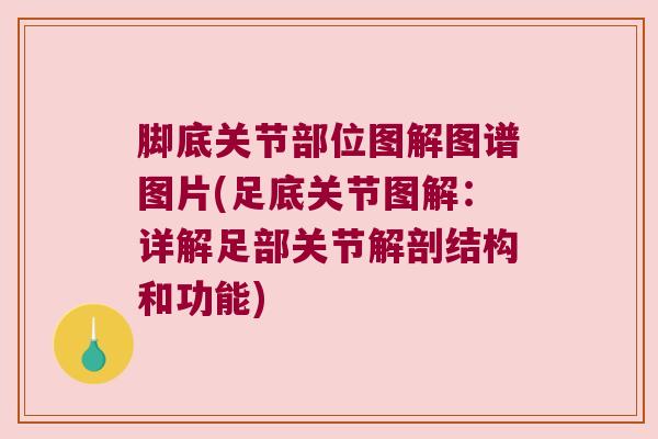 脚底关节部位图解图谱图片(足底关节图解：详解足部关节解剖结构和功能)
