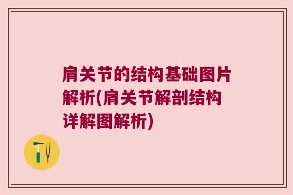 肩关节的结构基础图片解析(肩关节解剖结构详解图解析)