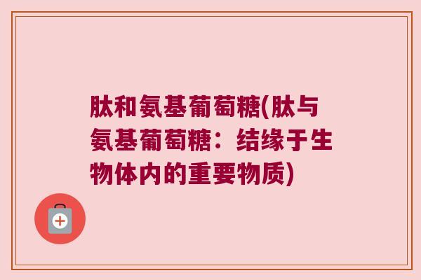 肽和氨基葡萄糖(肽与氨基葡萄糖：结缘于生物体内的重要物质)