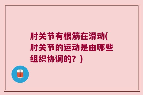 肘关节有根筋在滑动(肘关节的运动是由哪些组织协调的?) 肘关节有根筋在滑动(肘关节的运动是由哪些组织协调的?)