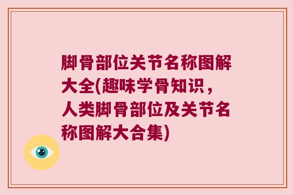 脚骨部位关节名称图解大全(趣味学骨知识，人类脚骨部位及关节名称图解大合集)