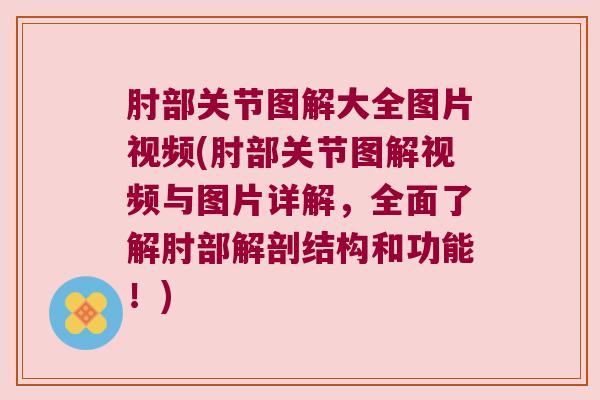 肘部关节图解大全图片视频(肘部关节图解视频与图片详解,全面了解肘部解剖结构和功能!) 肘部关节图解大全图片视频(肘部关节图解视频与图片详解,全面了解肘部解剖结构和功能!)