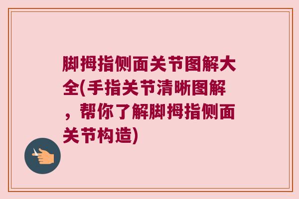 脚拇指侧面关节图解大全(手指关节清晰图解,帮你了解脚拇指侧面关节构造) 脚拇指侧面关节图解大全(手指关节清晰图解,帮你了解脚拇指侧面关节构造)
