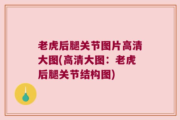 老虎后腿关节图片高清大图(高清大图:老虎后腿关节结构图) 老虎后腿关节图片高清大图(高清大图:老虎后腿关节结构图)
