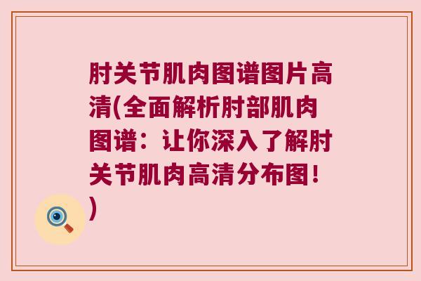 肘关节肌肉图谱图片高清(全面解析肘部肌肉图谱：让你深入了解肘关节肌肉高清分布图！)
