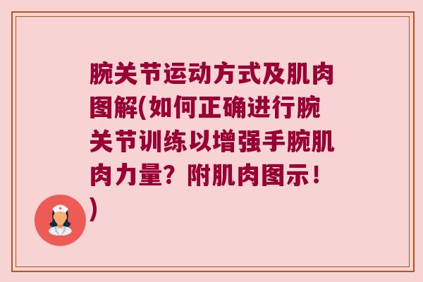 腕关节运动方式及肌肉图解(如何正确进行腕关节训练以增强手腕肌肉力量？附肌肉图示！)