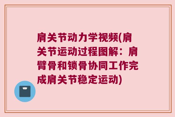 肩关节动力学视频(肩关节运动过程图解：肩臂骨和锁骨协同工作完成肩关节稳定运动)
