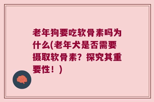 老年狗要吃软骨素吗为什么(老年犬是否需要摄取软骨素？探究其重要性！)