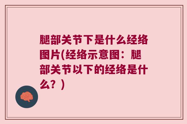 腿部关节下是什么经络图片(经络示意图:腿部关节以下的经络是什么?) 腿部关节下是什么经络图片(经络示意图:腿部关节以下的经络是什么?)