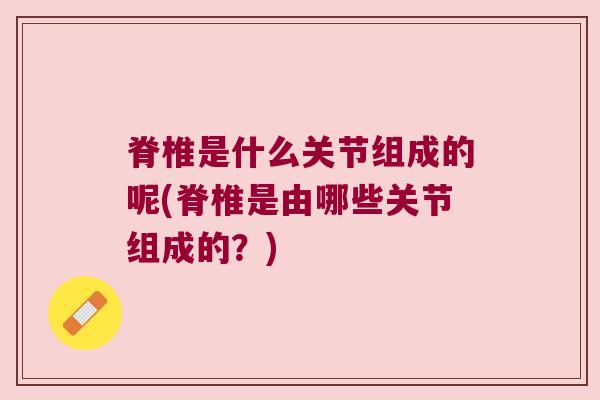 脊椎是什么关节组成的呢(脊椎是由哪些关节组成的？)