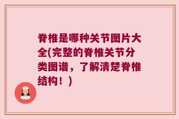 脊椎是哪种关节图片大全(完整的脊椎关节分类图谱，了解清楚脊椎结构！)