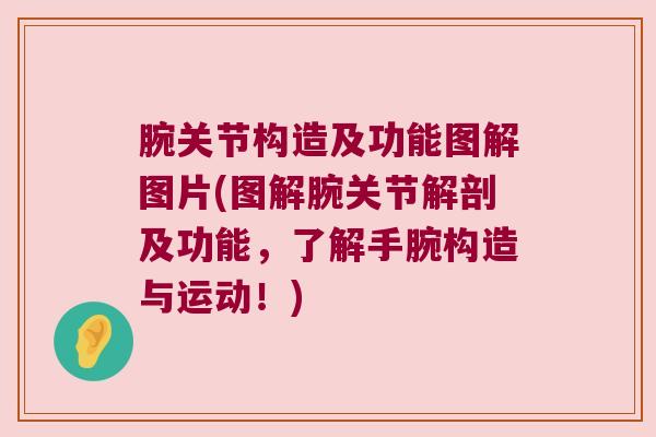 腕关节构造及功能图解图片(图解腕关节解剖及功能,了解手腕构造与运动!) 腕关节构造及功能图解图片(图解腕关节解剖及功能,了解手腕构造与运动!)