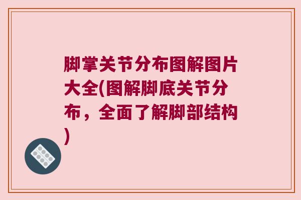 脚掌关节分布图解图片大全(图解脚底关节分布，全面了解脚部结构)