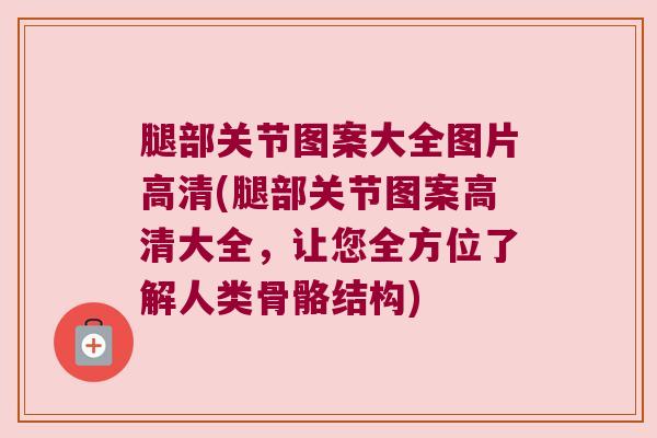 腿部关节图案大全图片高清(腿部关节图案高清大全，让您全方位了解人类骨骼结构)