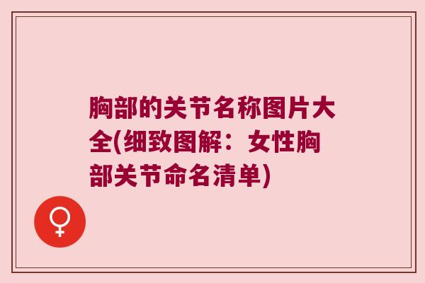 胸部的关节名称图片大全(细致图解：女性胸部关节命名清单)