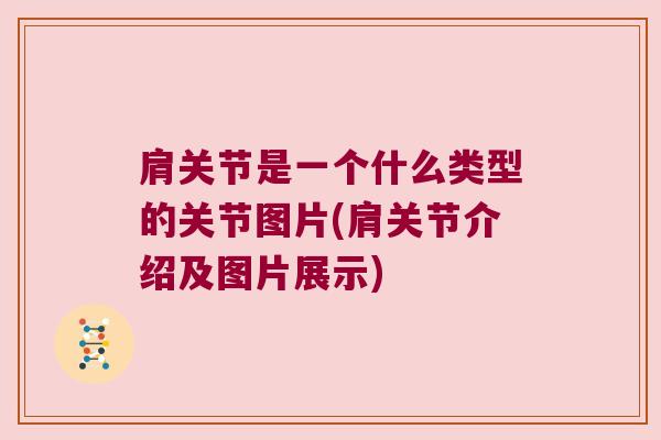 肩关节是一个什么类型的关节图片(肩关节介绍及图片展示)