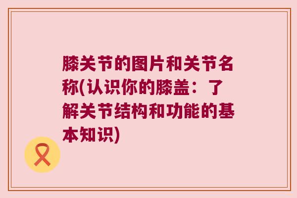 膝关节的图片和关节名称(认识你的膝盖:了解关节结构和功能的基本知识) 膝关节的图片和关节名称(认识你的膝盖:了解关节结构和功能的基本知识)