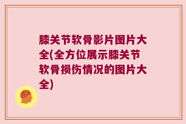 膝关节软骨影片图片大全(全方位展示膝关节软骨损伤情况的图片大全)