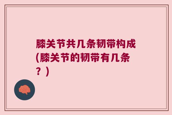 膝关节共几条韧带构成(膝关节的韧带有几条？)