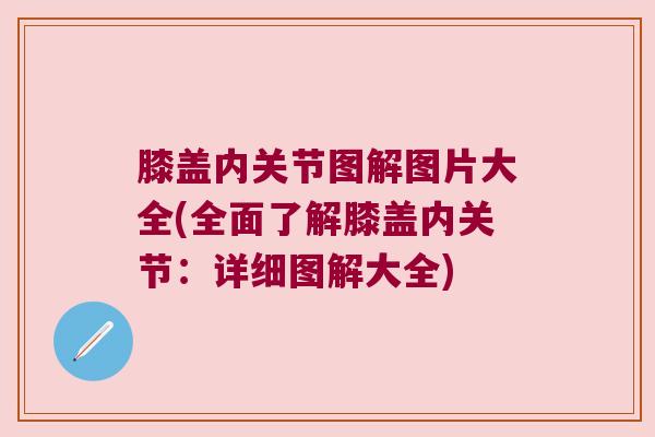膝盖内关节图解图片大全(全面了解膝盖内关节：详细图解大全)