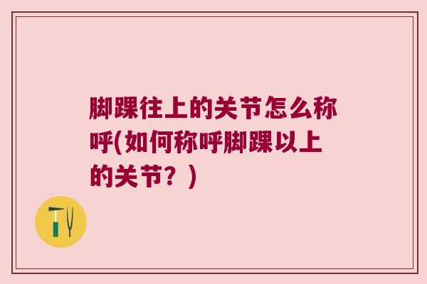 脚踝往上的关节怎么称呼(如何称呼脚踝以上的关节？)