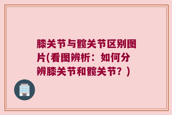 膝关节与髋关节区别图片(看图辨析:如何分辨膝关节和髋关节?) 膝关节与髋关节区别图片(看图辨析:如何分辨膝关节和髋关节?)