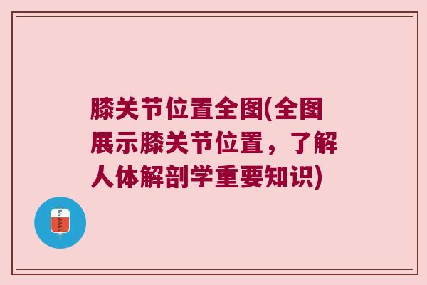 膝关节位置全图(全图展示膝关节位置，了解人体解剖学重要知识)