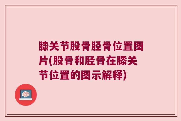 膝关节股骨胫骨位置图片(股骨和胫骨在膝关节位置的图示解释)