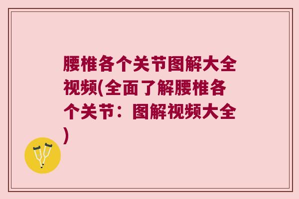 腰椎各个关节图解大全视频(全面了解腰椎各个关节:图解视频大全) 腰椎各个关节图解大全视频(全面了解腰椎各个关节:图解视频大全)