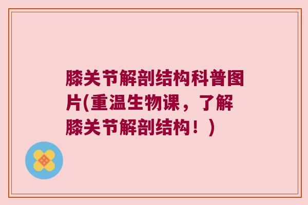 膝关节解剖结构科普图片(重温生物课，了解膝关节解剖结构！)