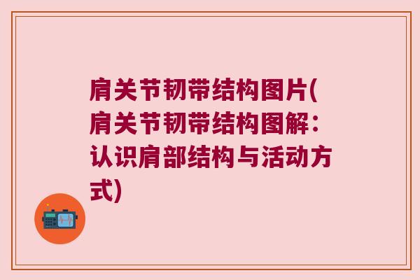肩关节韧带结构图片(肩关节韧带结构图解：认识肩部结构与活动方式)