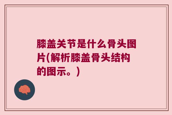 膝盖关节是什么骨头图片(解析膝盖骨头结构的图示。)