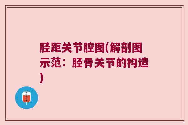 胫距关节腔图(解剖图示范:胫骨关节的构造) 胫距关节腔图(解剖图示范:胫骨关节的构造)