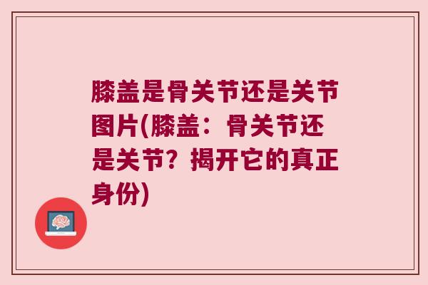 膝盖是骨关节还是关节图片(膝盖:骨关节还是关节?揭开它的真正身份) 膝盖是骨关节还是关节图片(膝盖:骨关节还是关节?揭开它的真正身份)