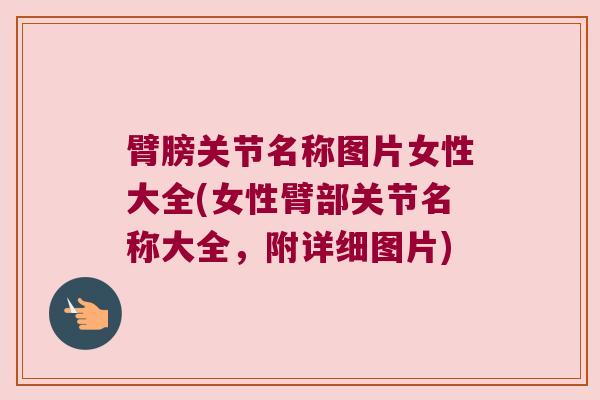 臂膀关节名称图片女性大全(女性臂部关节名称大全，附详细图片)