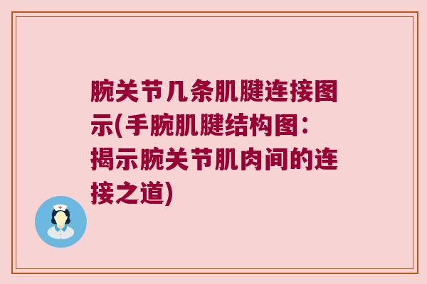 腕关节几条肌腱连接图示(手腕肌腱结构图:揭示腕关节肌肉间的连接之道) 腕关节几条肌腱连接图示(手腕肌腱结构图:揭示腕关节肌肉间的连接之道)