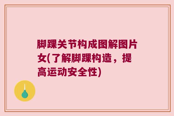 脚踝关节构成图解图片女(了解脚踝构造，提高运动安全性)