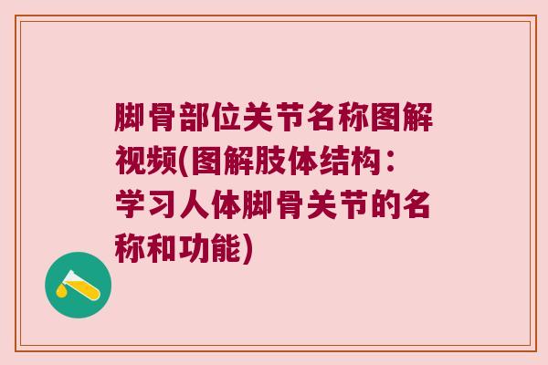 脚骨部位关节名称图解视频(图解肢体结构:学习人体脚骨关节的名称和功能) 脚骨部位关节名称图解视频(图解肢体结构:学习人体脚骨关节的名称和功能)