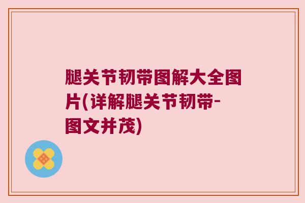 腿关节韧带图解大全图片(详解腿关节韧带-图文并茂) 腿关节韧带图解大全图片(详解腿关节韧带-图文并茂)